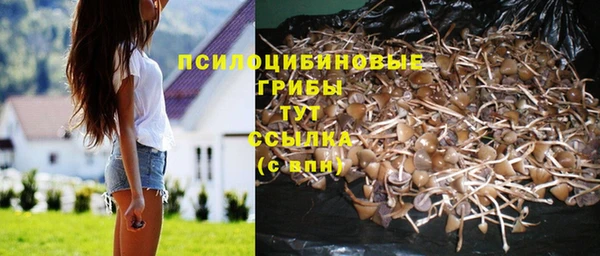mdma Осинники
