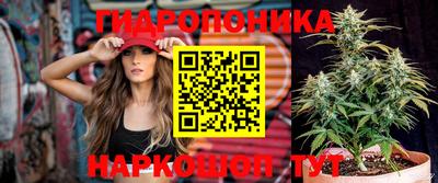 apvp Берёзовский