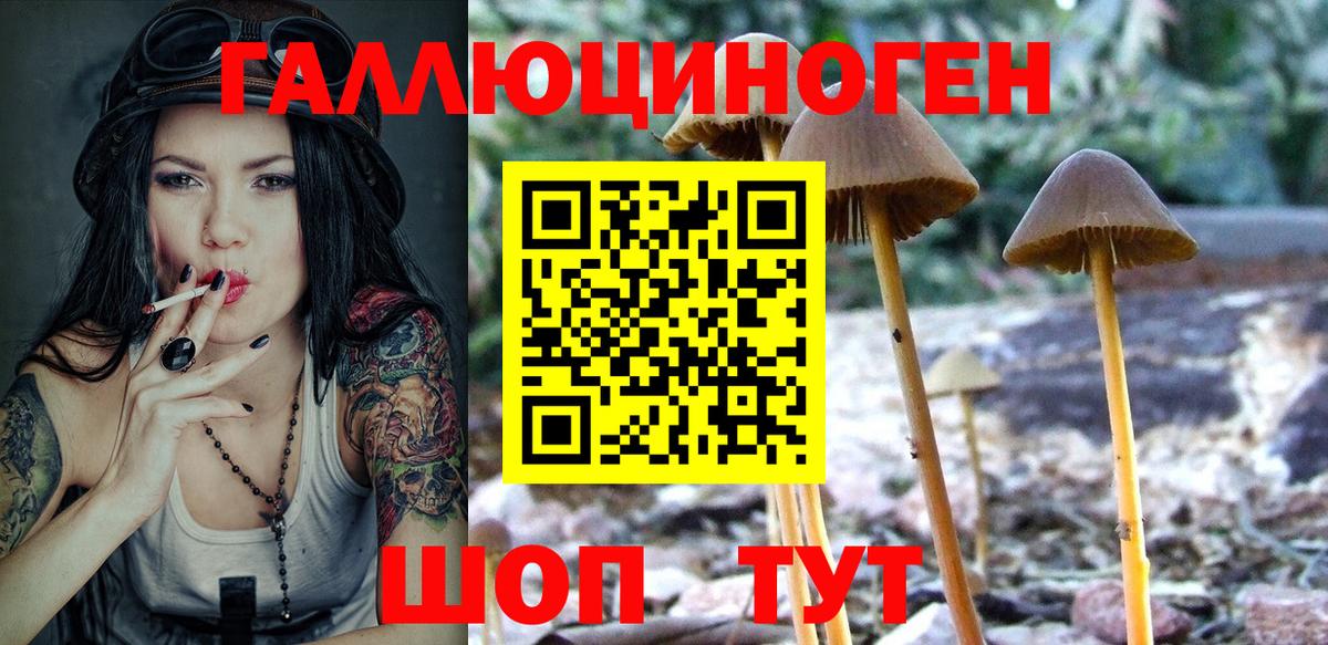 Псилоцибиновые грибы GOLDEN TEACHER  Котельники 