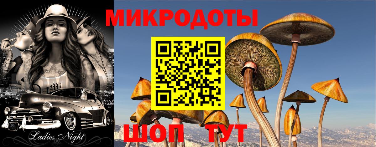 Псилоцибиновые грибы Psilocybine cubensis Котельники