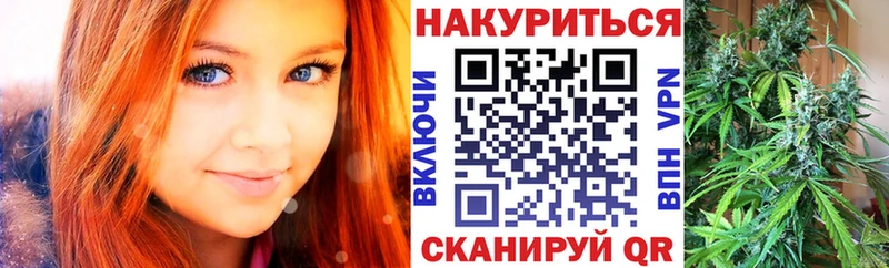 Шишки марихуана SATIVA & INDICA  где купить наркоту  Котельники 